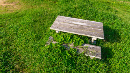 Grass and a wooden table