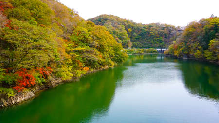 Autumn Leaves in Teishakukyo, Hiroshima Prefecture