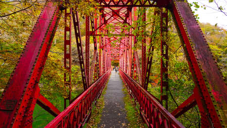 Autumn Leaves in Teishakukyo, Hiroshima Prefectureの写真素材