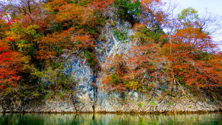 Autumn Leaves in Teishakukyo, Hiroshima Prefectureの写真素材