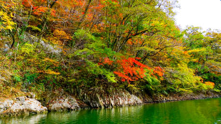 Autumn Leaves in Teishakukyo, Hiroshima Prefectureの写真素材