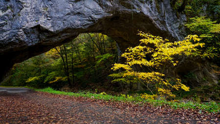 Natural Bridge in Teishakukyo Gorge, Onbashiの写真素材