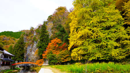 Beautiful Autumn Leaves at Kami-Teishakyo