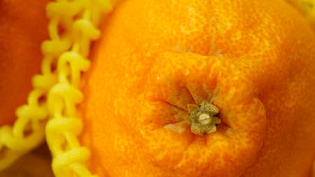 Sweet and sour Oita citrus fruits: Dekopon Shiranui