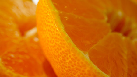 Sweet and sour Oita citrus fruits: Dekopon Shiranuiの写真素材