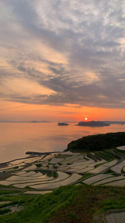 Tsuchiya Terraced Paddy Fields in Matsuura City, Nagasakiの写真素材