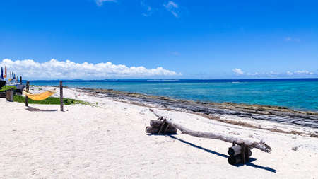 Deserted Islands and Hammocks in Okinawaの写真素材