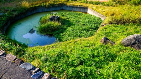 Ikegami water source in Aso, Kumamotoの写真素材