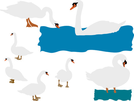 swan vector silhouetteのイラスト素材