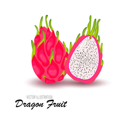 Bright and juicy dragon fruit and half isolated on a white backgroundのイラスト素材