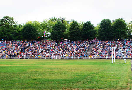 Soccer stadium and green fieldの写真素材