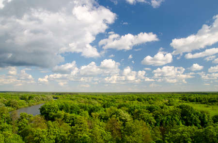 Peaceful natural atmosphere of white clouds, deep blue summer sky, river and green forest. Forest aerial view from helicopterの写真素材