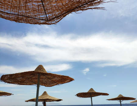 Solar umbrellas on the beach over blue sky background, summer vacation background wallpaperの写真素材
