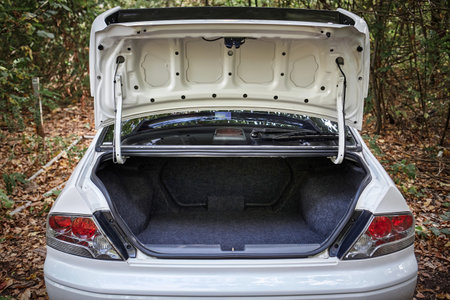 Opened car trunk, city car empty trunkの写真素材