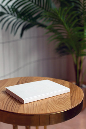 A book with a blank empty cover mockup template