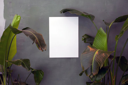 Empty paper pictures mockup templates background