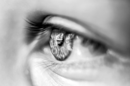 Eye close view. Human eye glance photo background. Emotional lookの写真素材