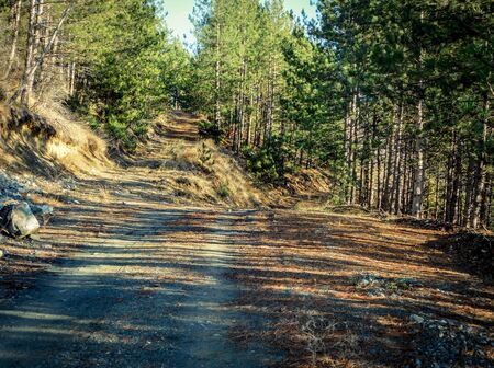 Mountain landscape golden hour of dusk, roadの写真素材