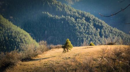 Autumn landscape, mountain clearing, meadowの写真素材