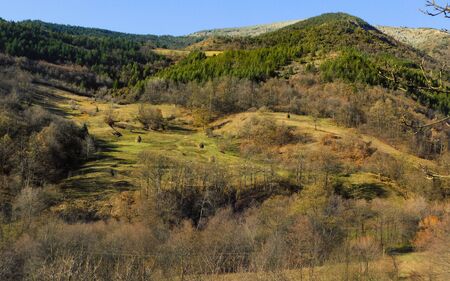 Mountain village, a village high in the mountains,old houses, mountain Studena Serbiaの写真素材