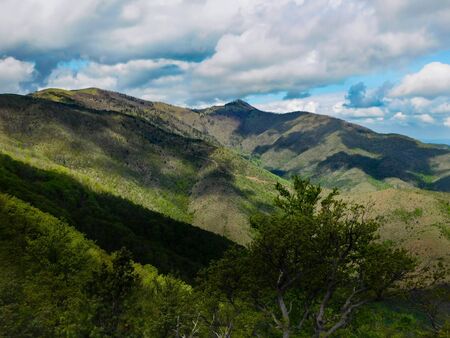 the spring landscapes of Stolovi Mountain, Serbia, a walk through the peaks of the mountainの写真素材