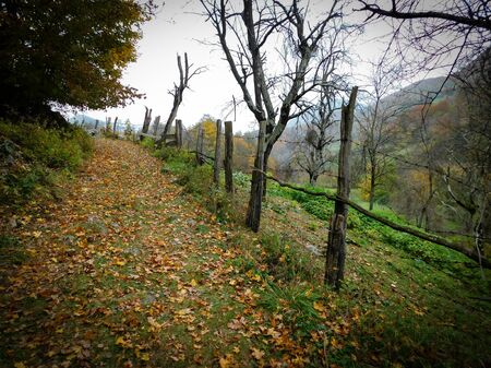 Fenced road through mountain village, autumn sceneの写真素材