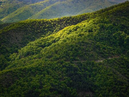 Valley illuminated by the first rays of the sun, rural mountain area, landscapeの写真素材