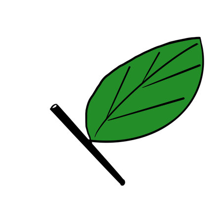 leaf plant ecology icon vector illustration design graphic flat and isolated vector illustrationの写真素材