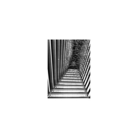 letter of the alphabet made of metal. Isolated on white backgroundの写真素材