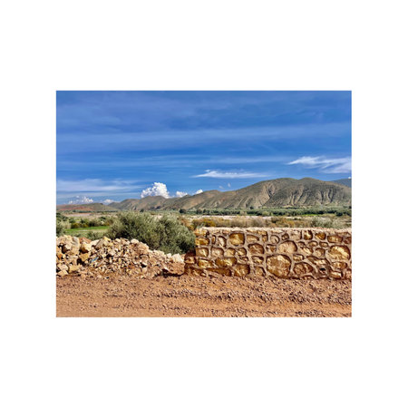 Design for postcard, Tenerife, Canary Islands, Spainの写真素材