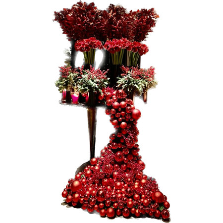 Bouquet of red flowers in vase isolated on white backgroundの写真素材