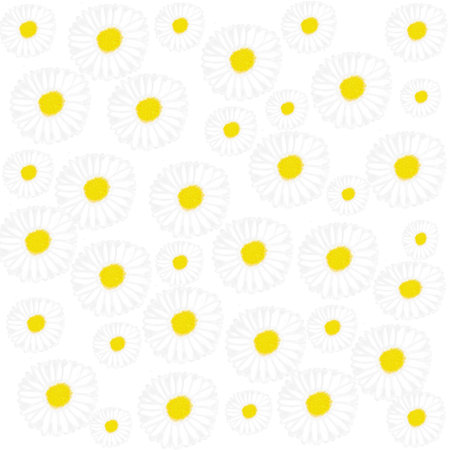 Camomile pattern on white background. Vector illustration for your designの写真素材
