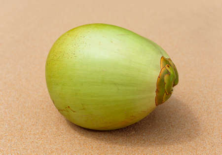 Green coconut on the beach.の写真素材