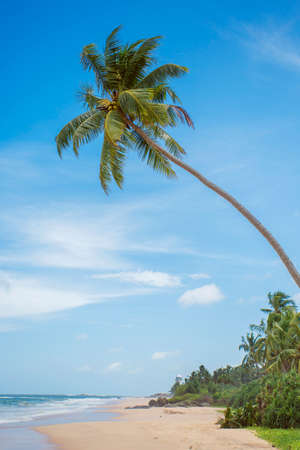 Untouched tropical beach of Sri Lankaの写真素材