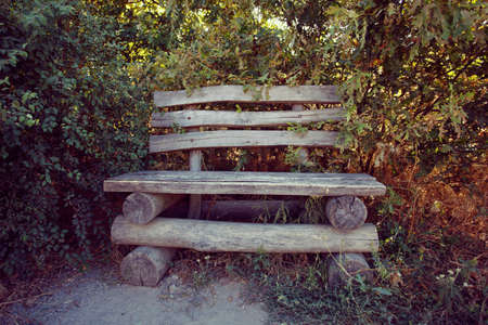 Ancient wooden Cossack bench. Island Khortica, Ukraine
