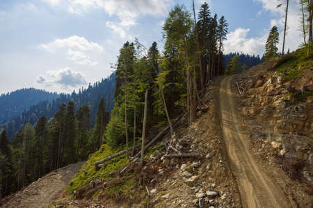 Roza Khutor Plateau Summer Alpine Ski Resort Landscape, Sochi, Russia. Close Up Of Alpine Meadow On...