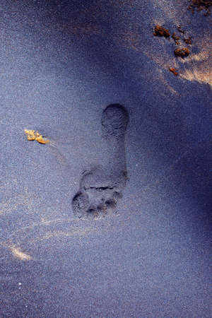 footprints on the beach of Sri Lankaの写真素材