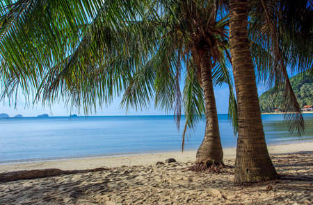 View of the tropical beachの写真素材