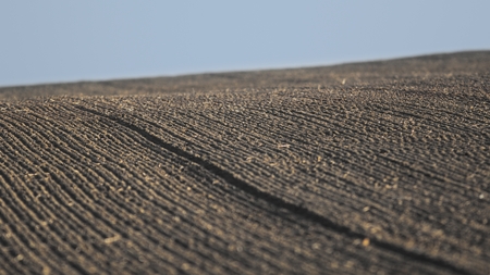 Agricultural background of newly plowed fieldの写真素材