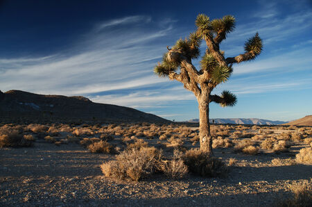 Late afternoon in Death Valleyの写真素材