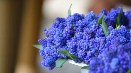 Bouquet of beautiful multi-colored flowers on a market stall.の写真素材