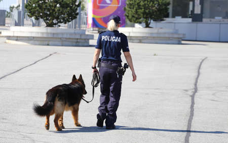A policewoman guides a service dog on patrol with her partner.