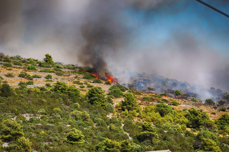 Burning forest on the island of Crete in Greece, Europeの写真素材