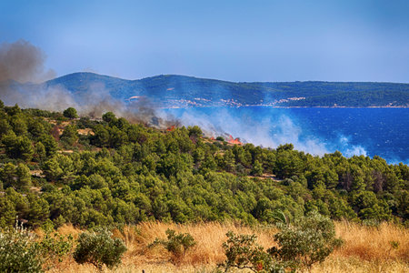 Forest fire on the island of Kefalonia, Greece.の写真素材