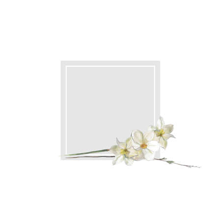 Watercolor narcissus square frame flower vector illustrationのイラスト素材
