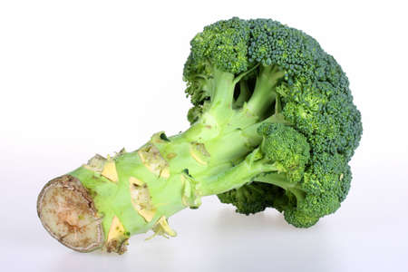 Fresh broccoliの写真素材