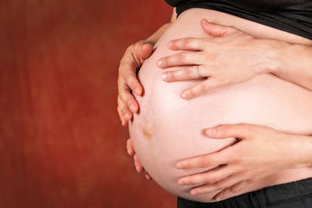 Pregnant woman belly