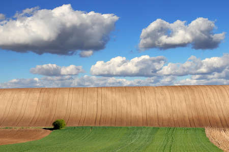 Farm land