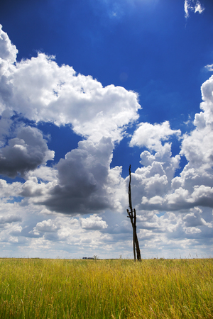 Wooden draw well in the field,with cloudy skyの写真素材