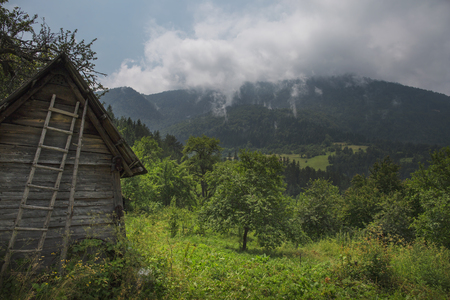 Old abandoned country shack in the mountainの写真素材